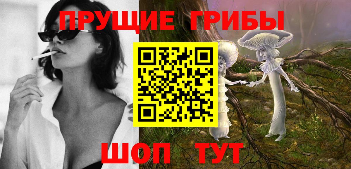 Верхняя Пышма  Галлюциногенные грибы прущие грибы  Вход с VPN  Галлюциногенные грибы ЛСД 