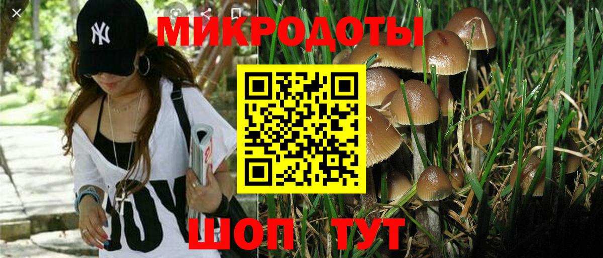 Псилоцибиновые грибы мицелий Верхняя Пышма